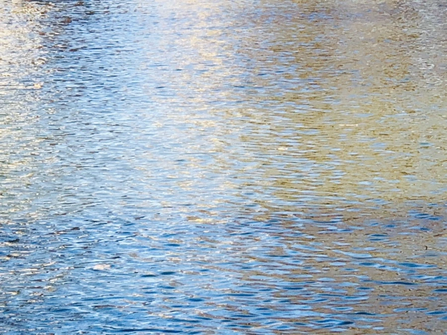 IMG_3877.jpg?type=w966