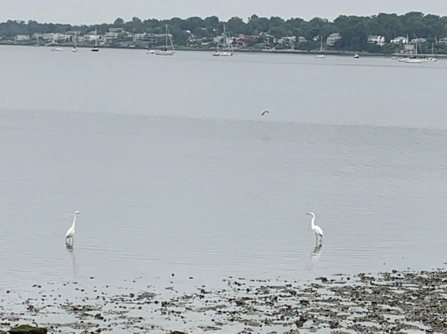 IMG_3680.jpg?type=w966