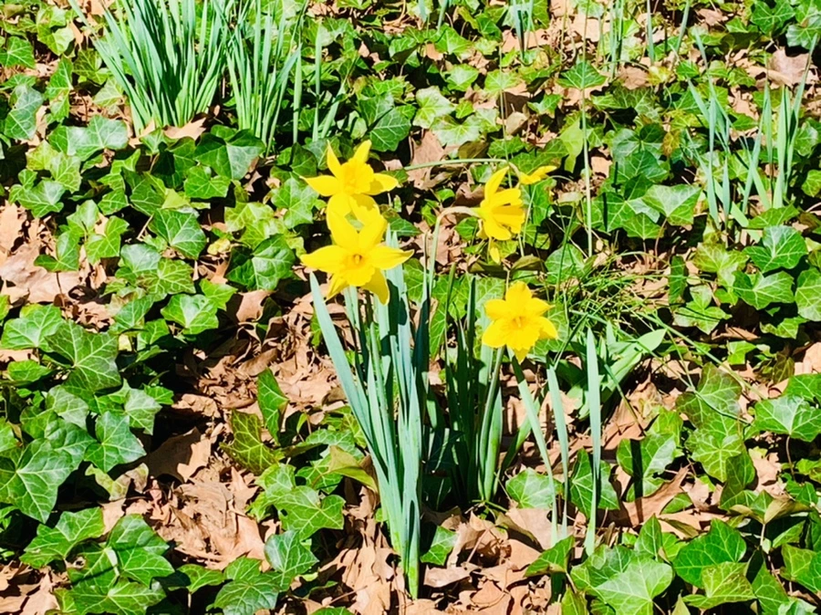 IMG_5813.jpg?type=w966