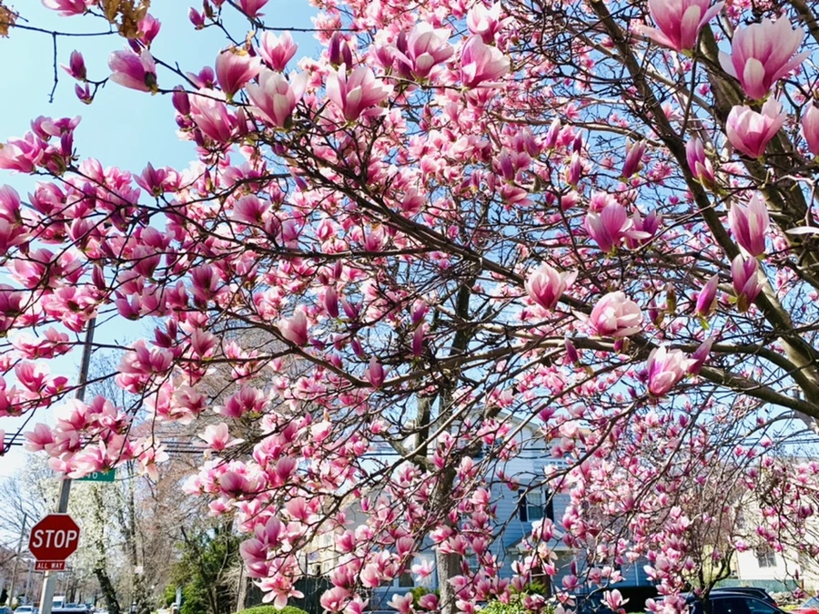 IMG_8577.jpg?type=w966