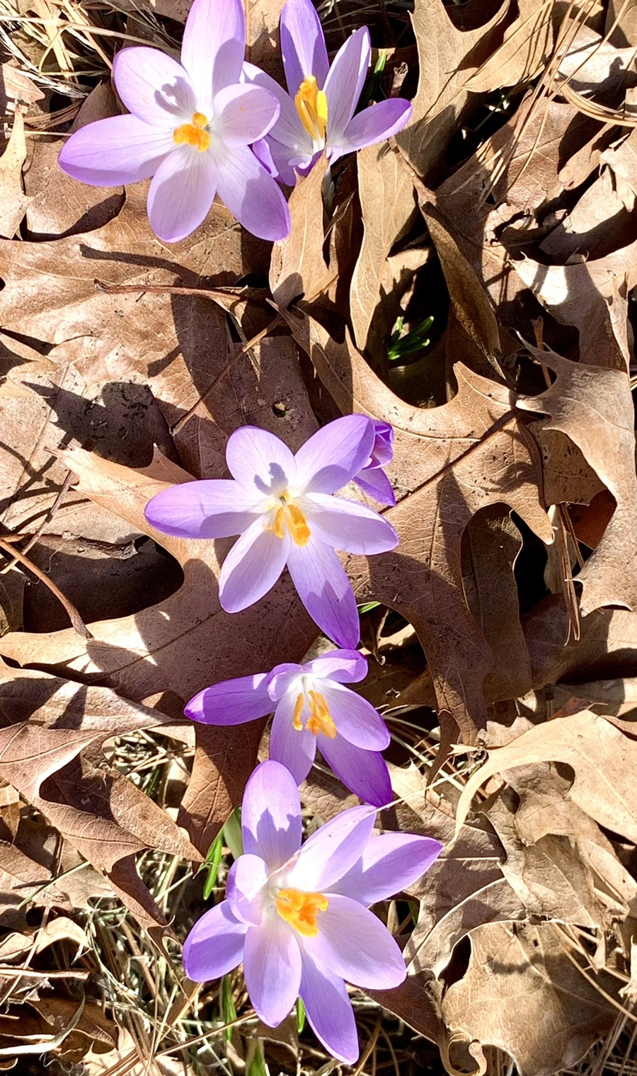 IMG_9631.jpg?type=w966