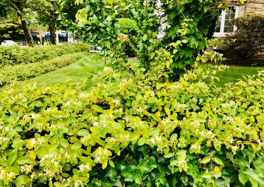 IMG_8203.jpg?type=w966