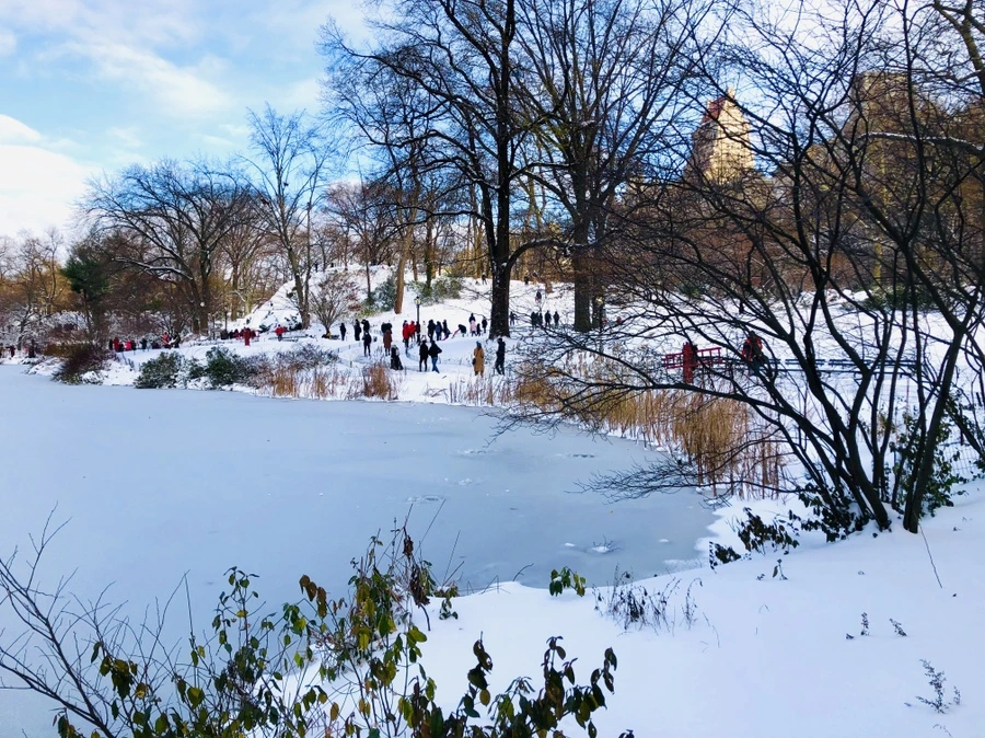 IMG_7009.jpg?type=w966