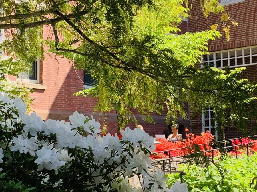 IMG_3115.jpg?type=w966