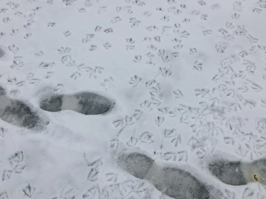 IMG_2559.jpg?type=w966