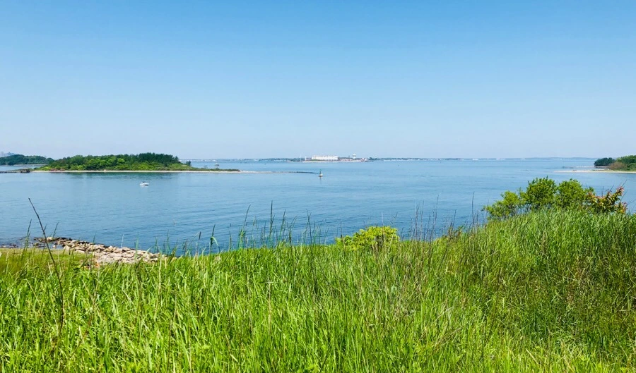 IMG_6709.jpg?type=w966