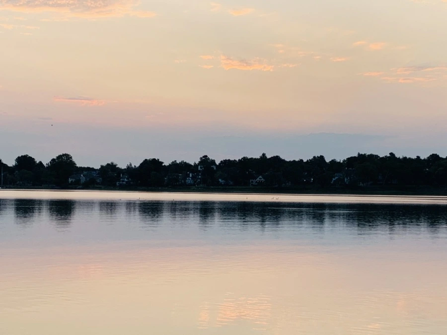 IMG_4595.jpg?type=w966