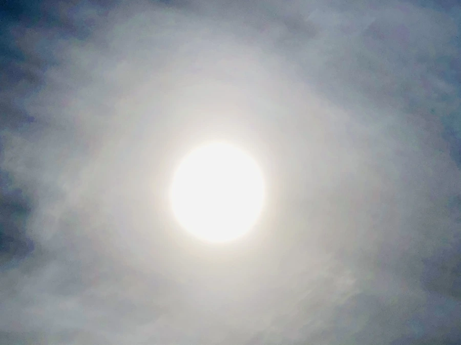 IMG_3128.jpg?type=w966