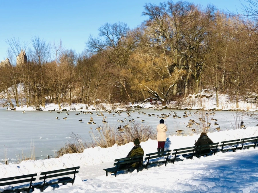 IMG_9797.jpg?type=w966