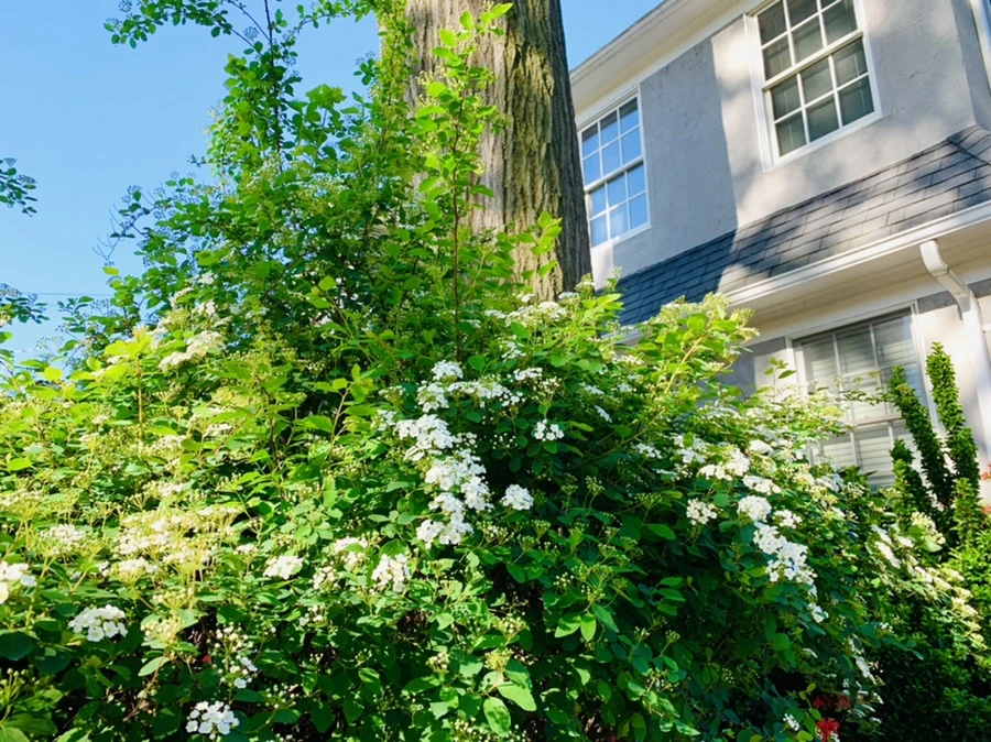 IMG_0411.jpg?type=w966