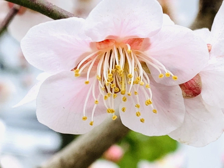 IMG_3621.jpg?type=w966