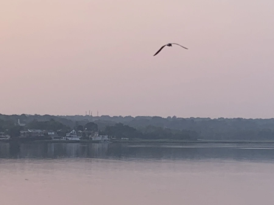 IMG_2067.jpg?type=w966