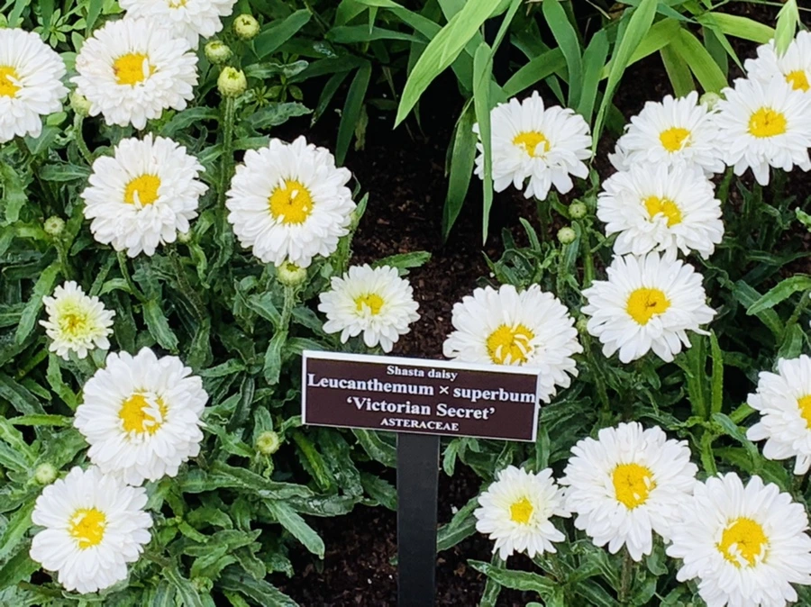 IMG_9188.jpg?type=w966