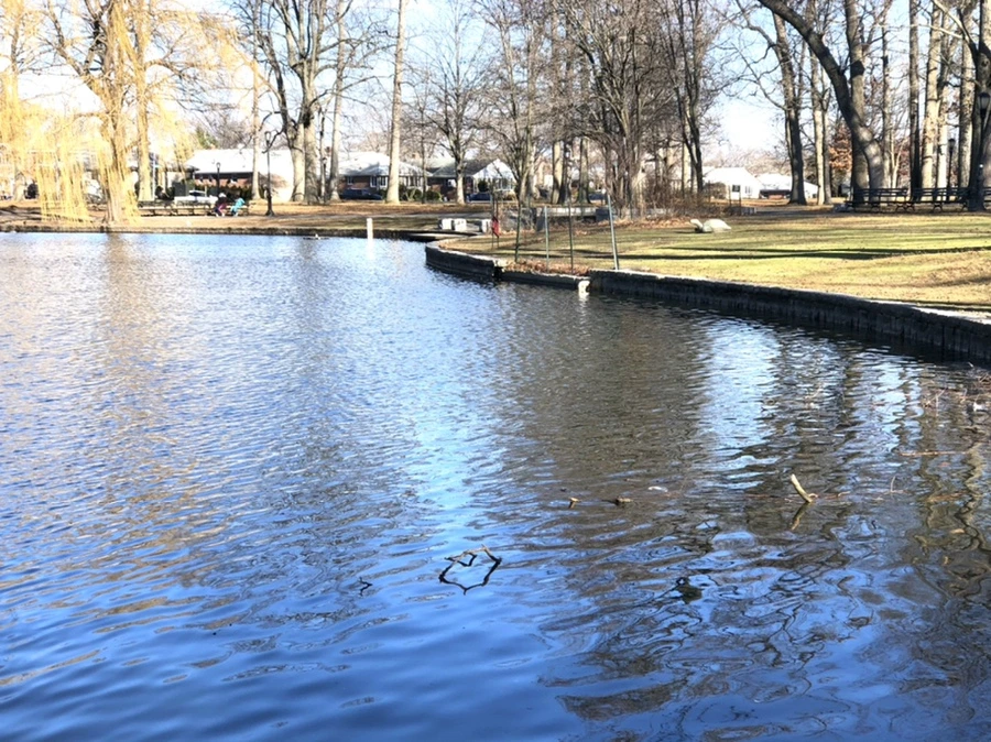 IMG_0301.jpg?type=w966