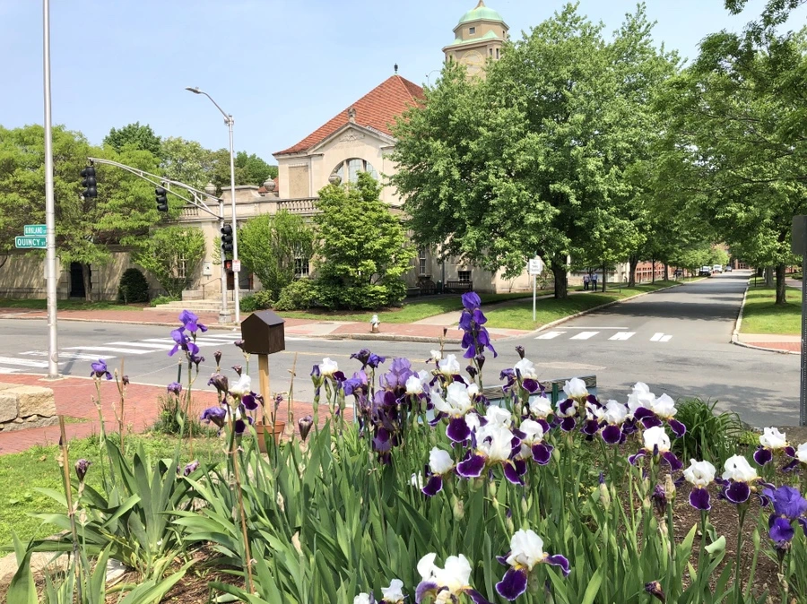 IMG_5453.jpg?type=w966