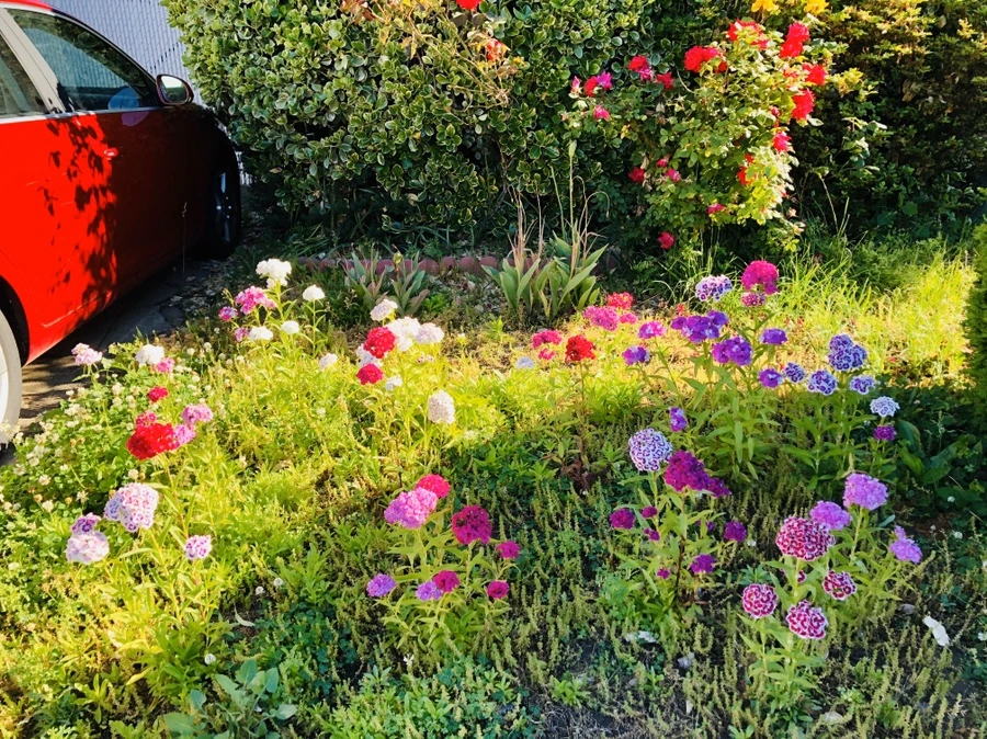 IMG_8432.jpg?type=w966