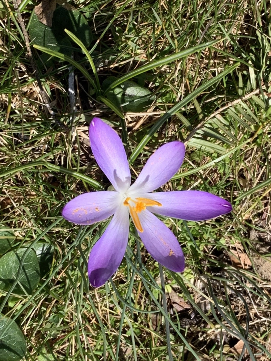 IMG_9198.jpg?type=w966