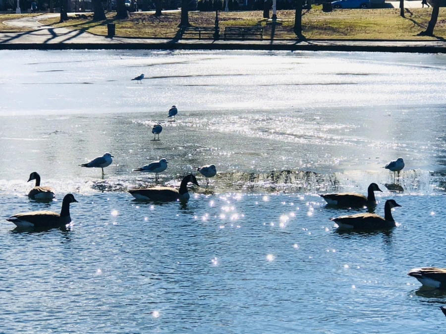 IMG_6853.jpg?type=w966