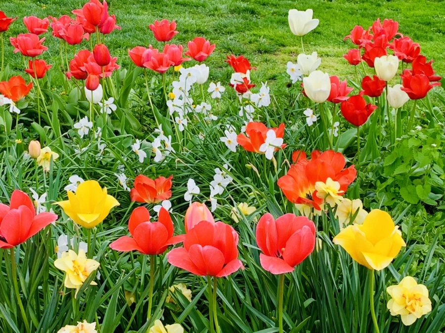 IMG_6972.jpg?type=w966