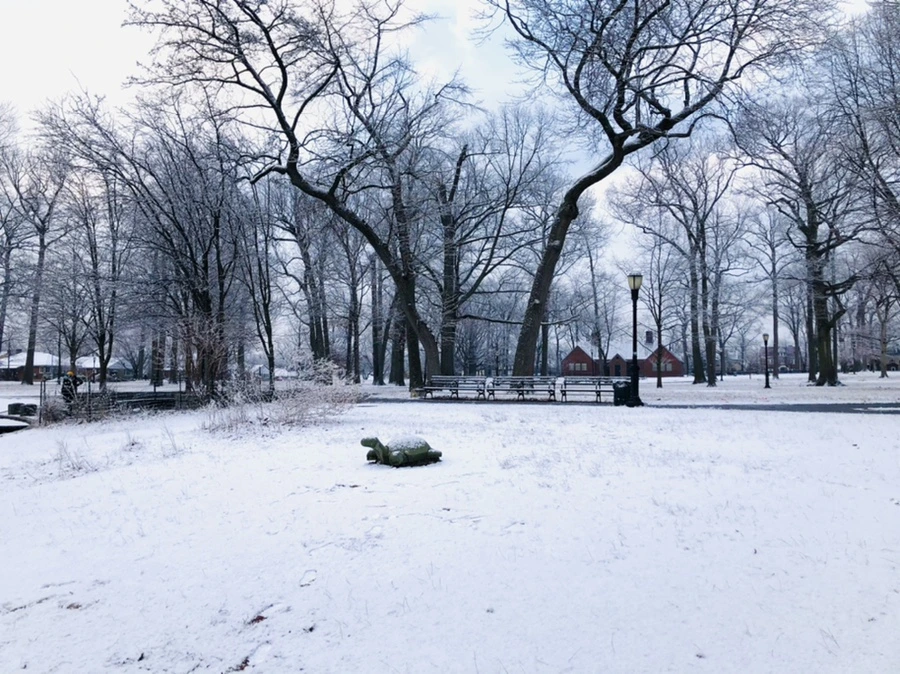 IMG_4496.jpg?type=w966