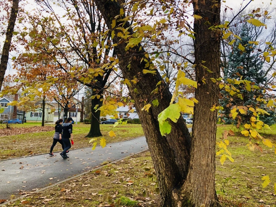 IMG_5452.jpg?type=w966