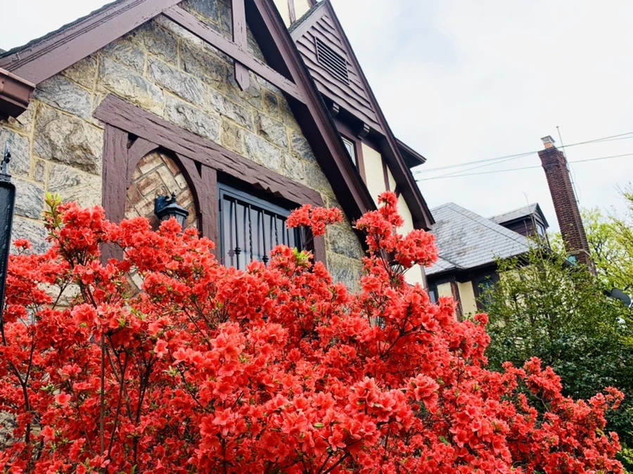 IMG_9557.jpg?type=w966