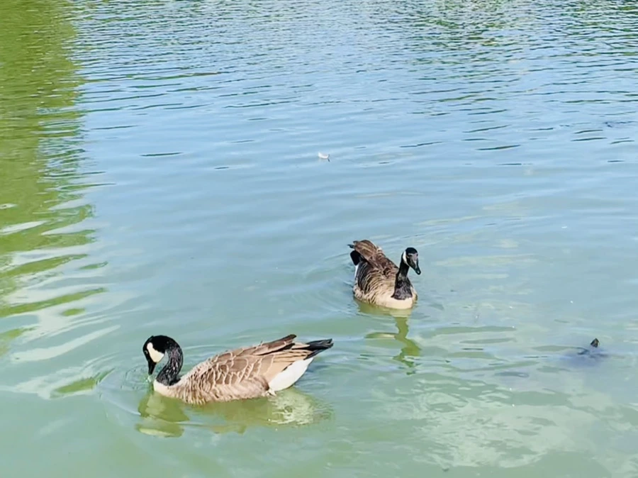 IMG_9711.jpg?type=w966