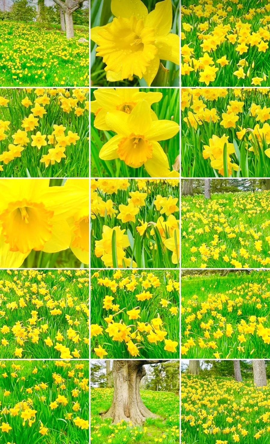 IMG_7667.jpg?type=w966