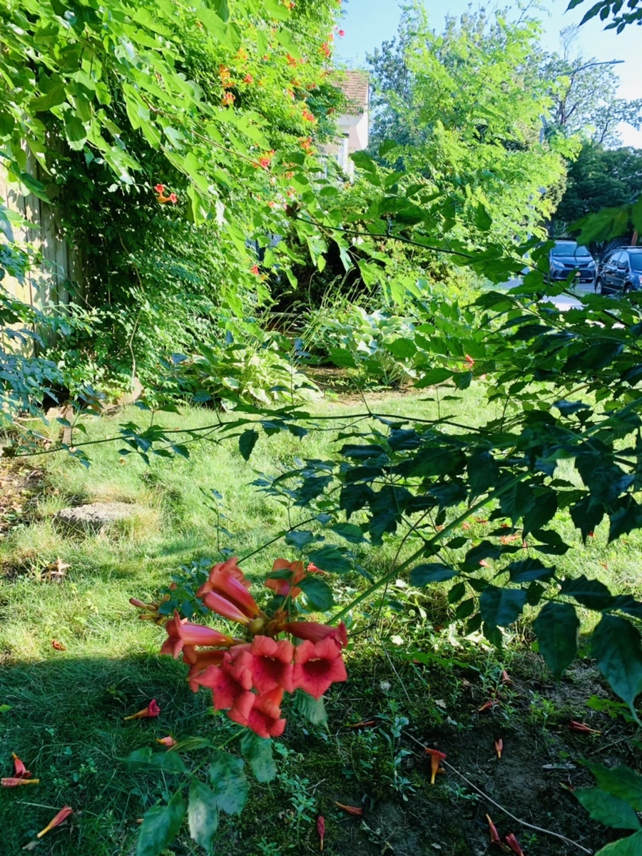 IMG_8240.jpg?type=w966