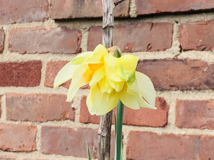 IMG_6385.jpg?type=w966