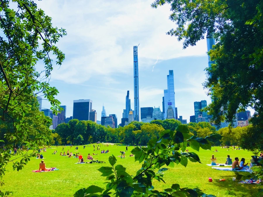 IMG_9484.jpg?type=w966