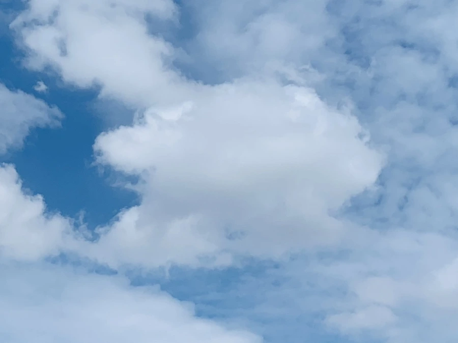 IMG_1591.jpg?type=w966