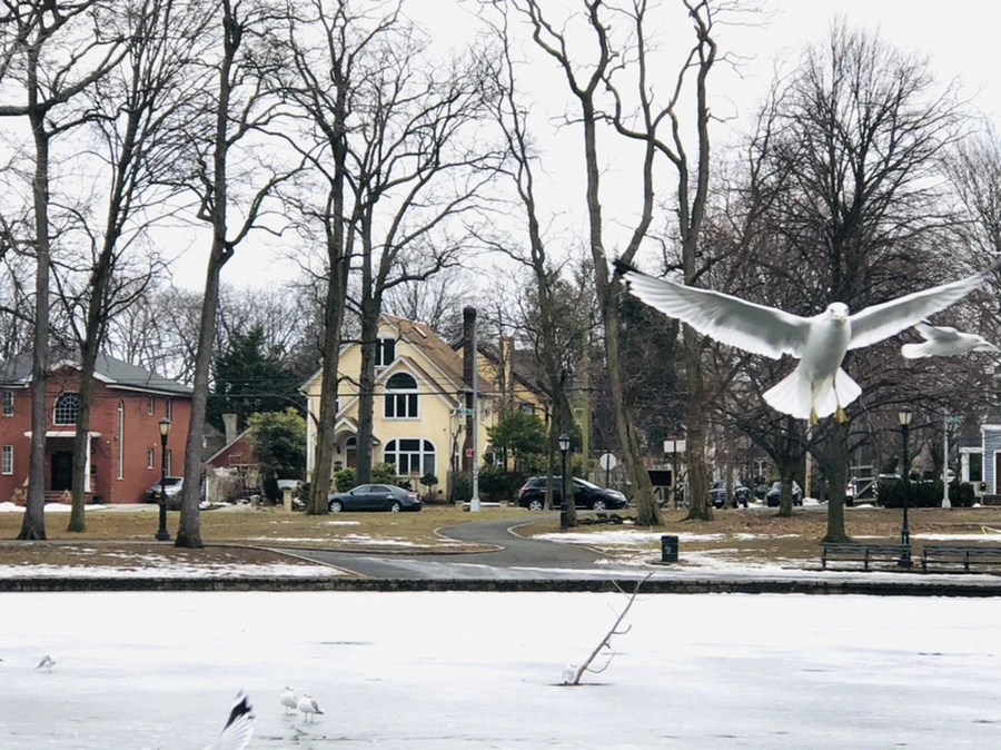 IMG_5827.jpg?type=w966