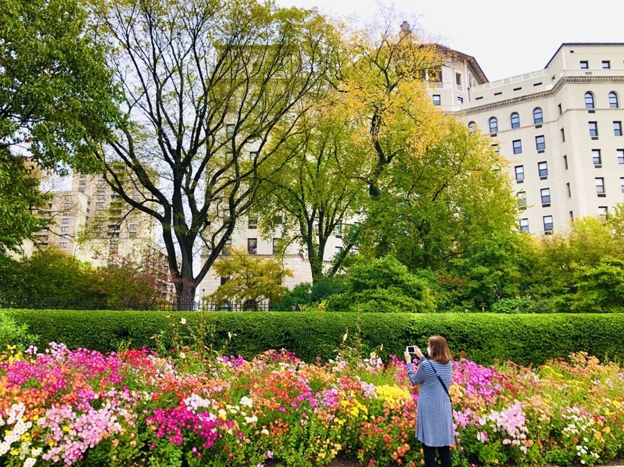 IMG_2517.jpg?type=w966