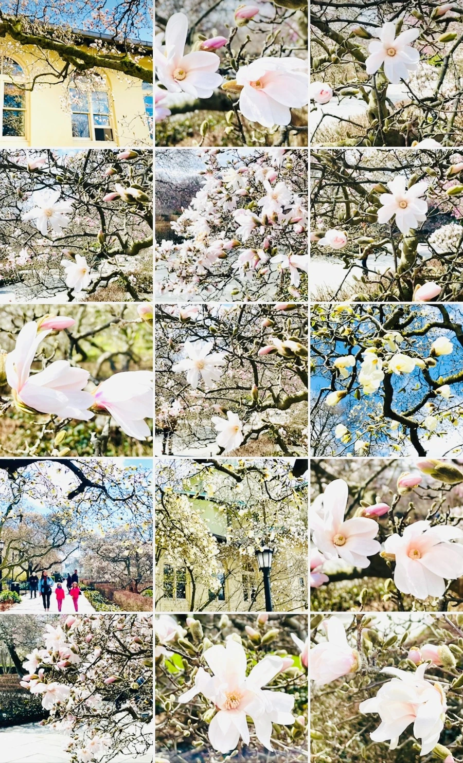 IMG_7302.jpg?type=w966