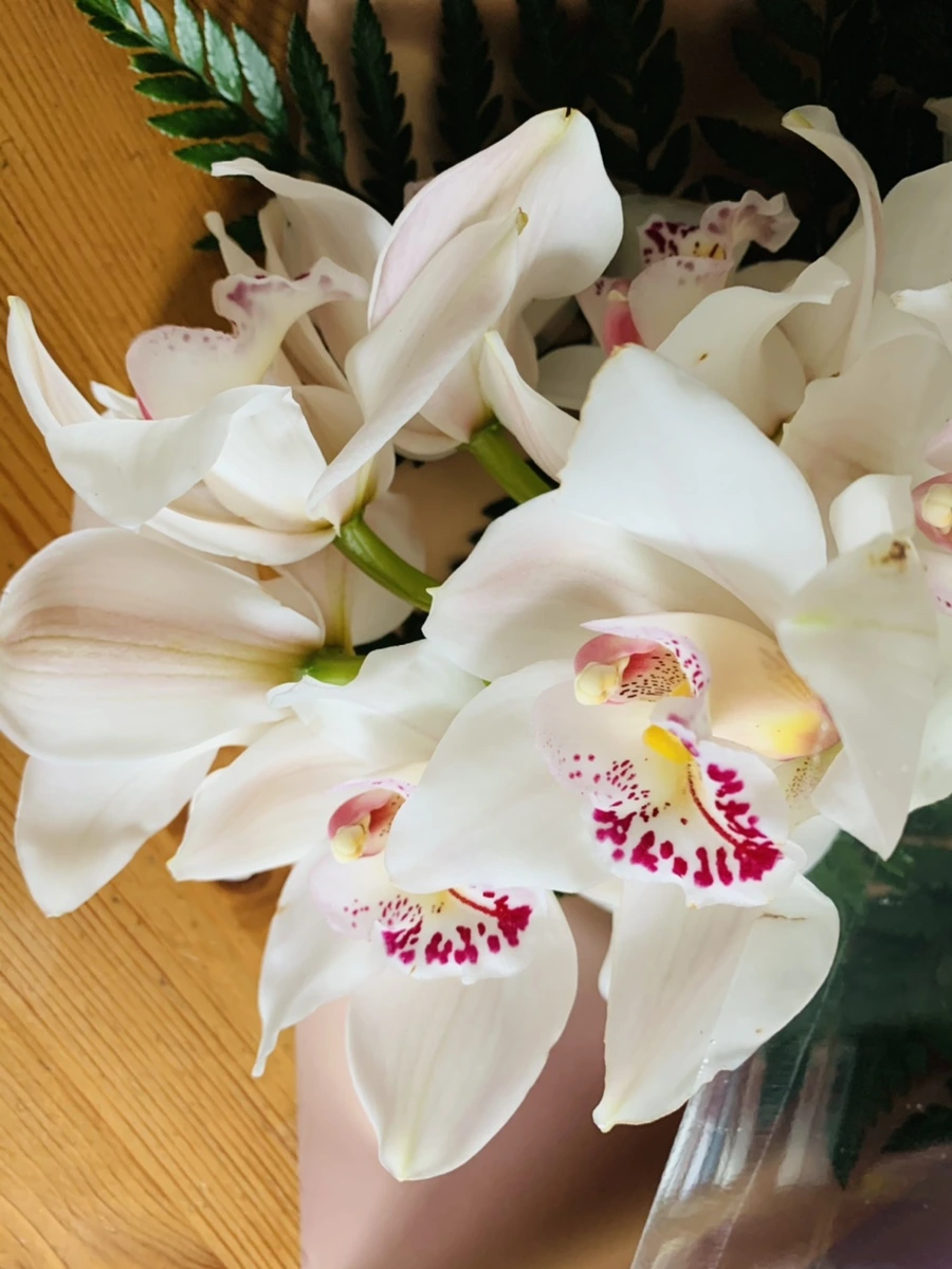 IMG_7413.jpg?type=w966