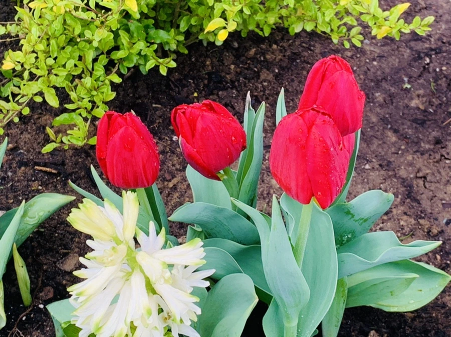 IMG_6195.jpg?type=w966