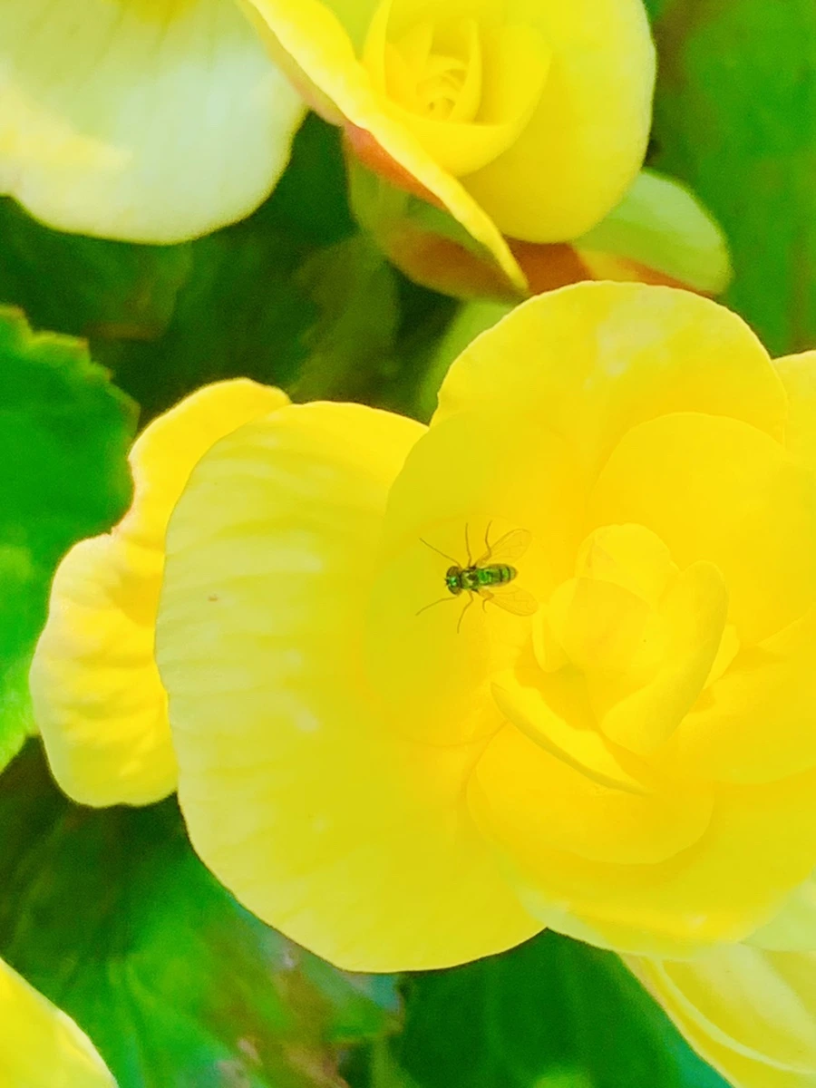 IMG_8324.jpg?type=w966