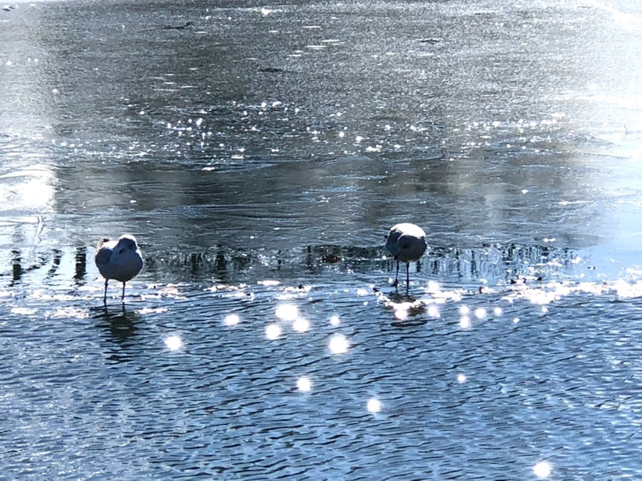 IMG_6875.jpg?type=w966