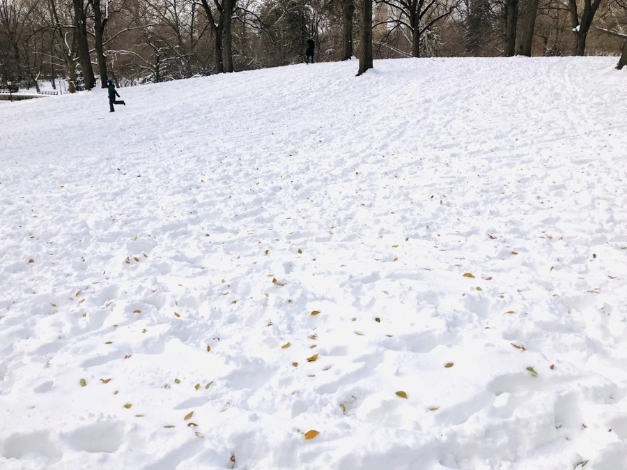 IMG_7263.jpg?type=w966