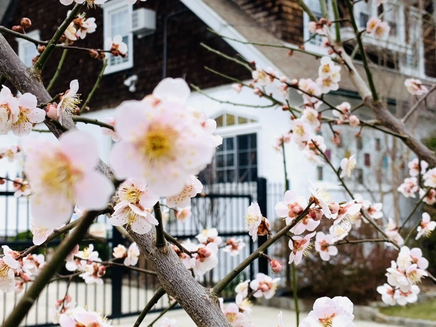 IMG_1675.jpg?type=w966