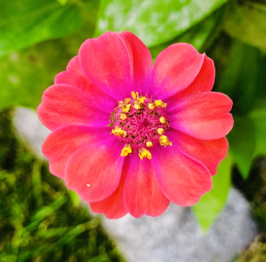 IMG_3635.jpg?type=w966