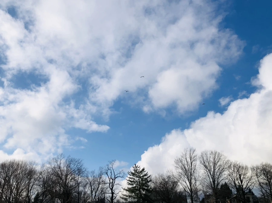 IMG_3506.jpg?type=w966