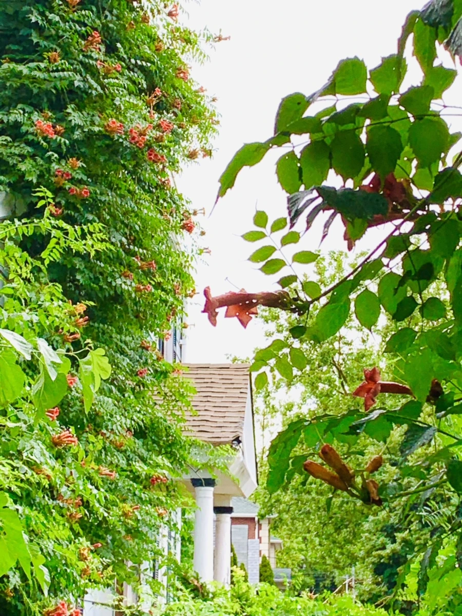 IMG_0055.jpg?type=w966