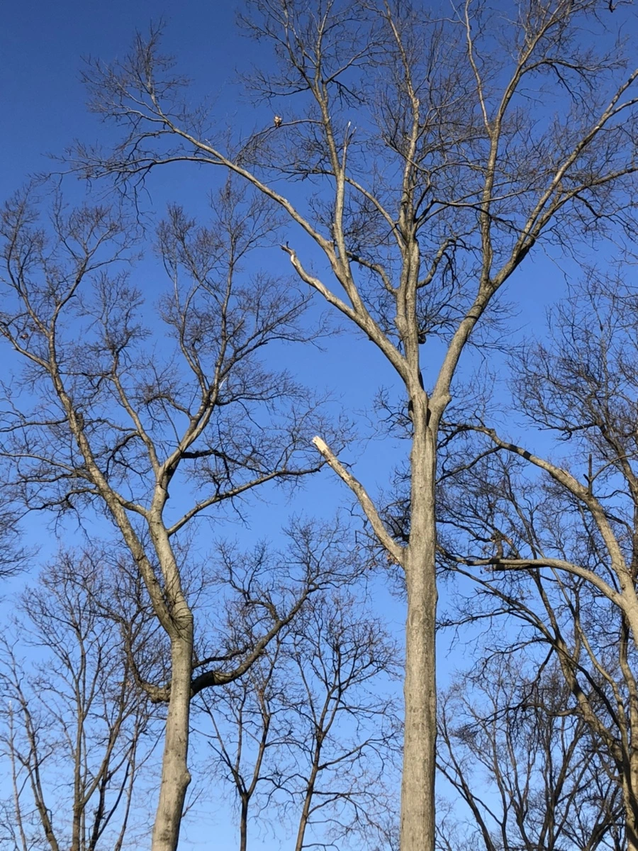 IMG_2317.jpg?type=w966