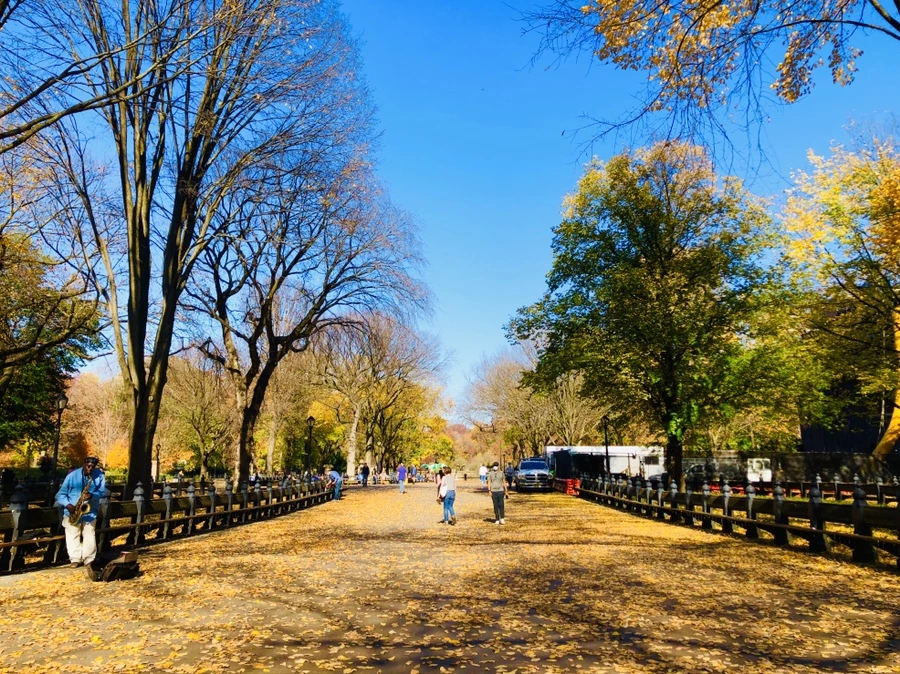 IMG_4278.jpg?type=w966