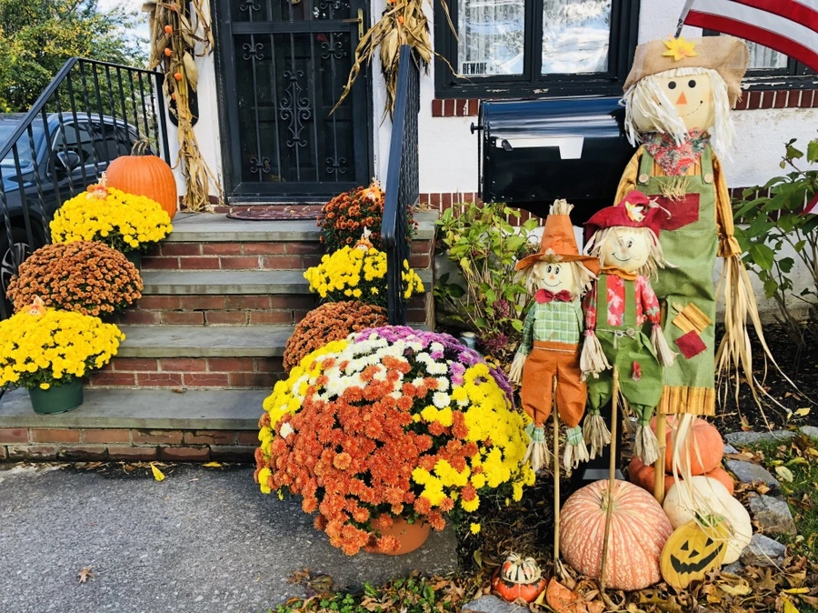 IMG_3295.jpg?type=w966