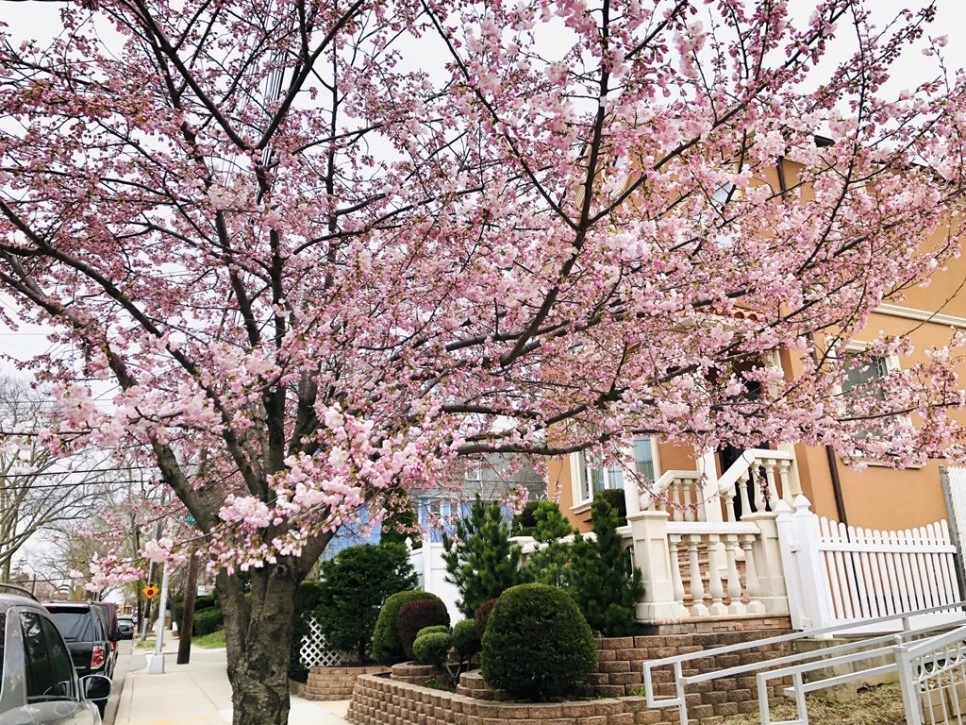 IMG_2746.jpg?type=w966