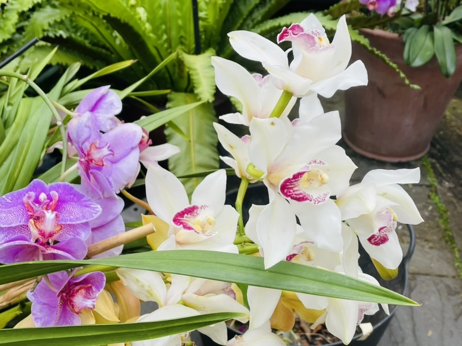 IMG_1338.jpg?type=w966