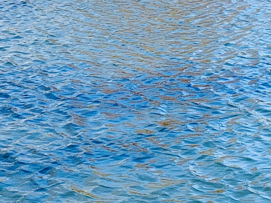 IMG_9892.jpg?type=w966